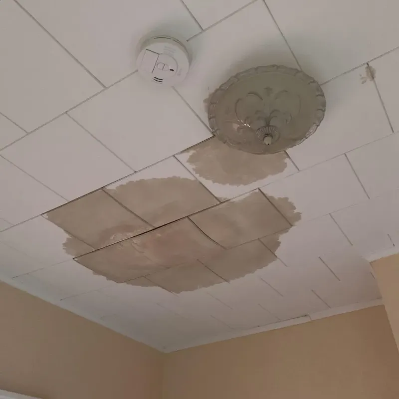 Ceiling Water Damage Repair in Minco, OK