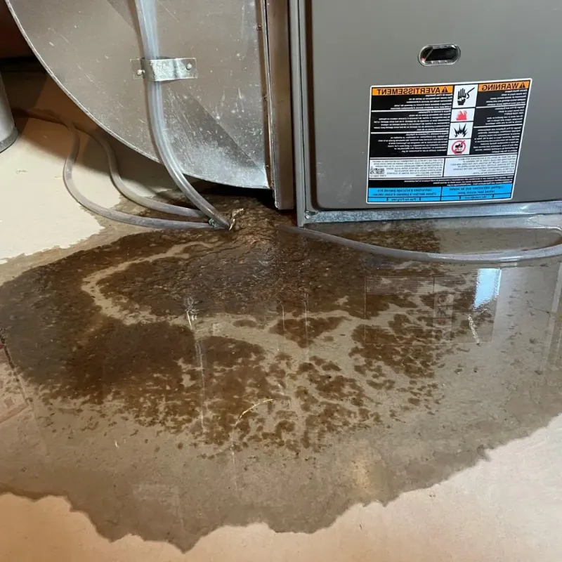 Pipe Burst and Leak Restoration in Minco, OK